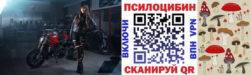 кракен как войти Раменское Галлюциногенные грибы Cubensis